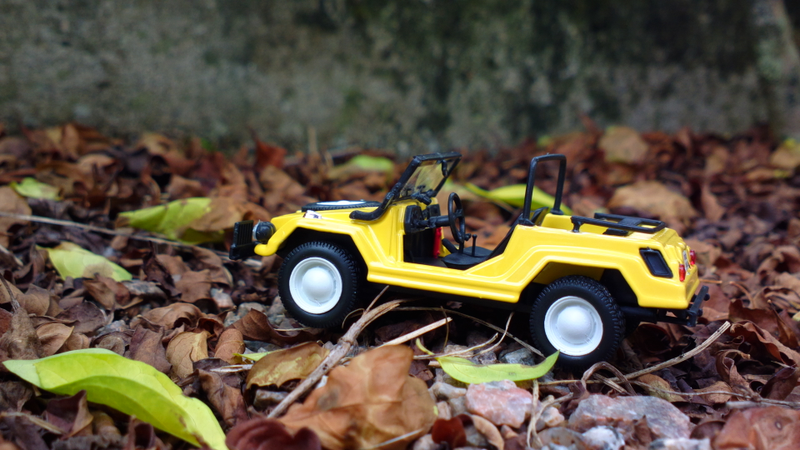 Close up of a Xavante on its natural habitat: Off road